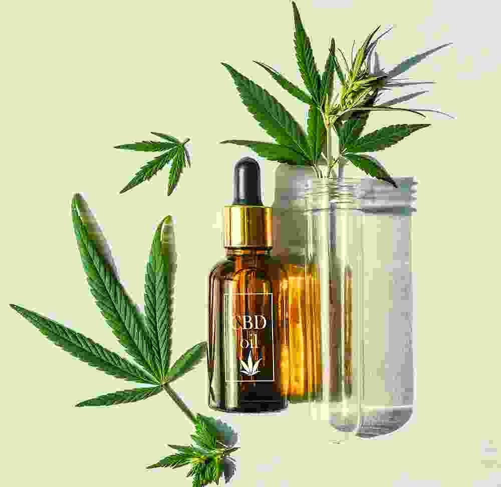 Shop Primary Image Shop Primary Image